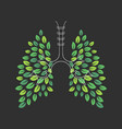 human lungs leaf vector image