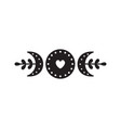 tribal moon with florals vector image