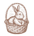easter bunny rabbit in basket hand drawn cute vector image