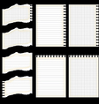 lined sheet set vector image