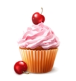cherry cupcake vector image vector image