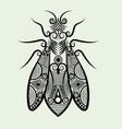 decorative bee vector image vector image