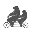 fun bear vector image
