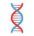 dna icon vector image vector image