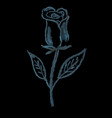 hand drawing chalk flower rose vector image vector image