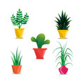 collection of room plants in pots vector image