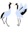 set cranes birds isolated on white background vector image