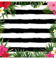 summer border and tropical flowers leaves vector image