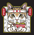 cute cat eat japan noodle ramen vector image