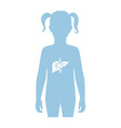 isolated liver vector image