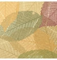 dry autumn leaves vector image