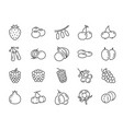 wild berry line icon set vector image vector image