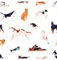 seamless pattern with different dogs breed vector image