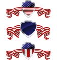 american protection vector image