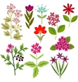 flowers set vector image