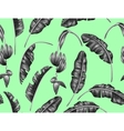 seamless pattern with banana leaves decorative vector image vector image