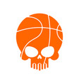 skull basketball ball is head of skeleton emblem vector image