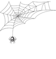 spider web wallpaper vector image