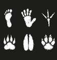 human foot print and animal footprint vector image