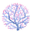 coral reef watercolor for decoration on summer vector image vector image