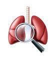 lungs and magnifier examination of disease vector image