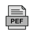 pef file document icon vector image vector image