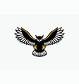 eagle owl design vector image