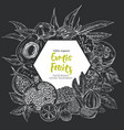 monochrome realistic drawn exotic fruits square vector image vector image
