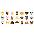 set heads of dogs collection different breeds vector image vector image