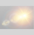 transparent sunlight special lens flare vector image