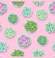 seamless pattern with succulents echeveria jade vector image vector image