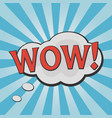 wow effect for design comic strip vector image vector image
