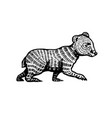 baby little bear brown wild grizzly animal hand vector image vector image