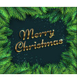 fir tree branches merry christmas glamour vector image