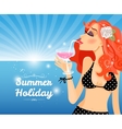 summer holiday poster vector image