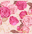 beautiful roses seamless vector image vector image