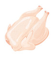 chicken carcass fresh rooster vector image