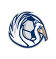 pelican wings soccer retro vector image