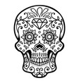sugar skull isolated on white background day vector image