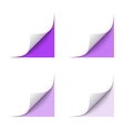 curled corner vector image