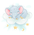 cute little elephant funny cartoon character vector image