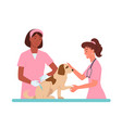 patient dog appointments at veterinary clinic vector image