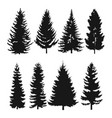 pine tree flat icon vector image