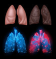 healthy and diseased human lungs vector image