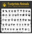 animal tracks - north american animals vector image