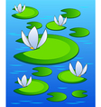 lilies background vector image vector image
