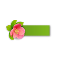 special spring offer sticker with flower isolated vector image