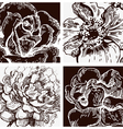 floral banners vector image vector image