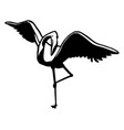 flamingo silhouettes solated on white background vector image vector image