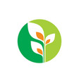 plant leaf green tree ecology round logo vector image
